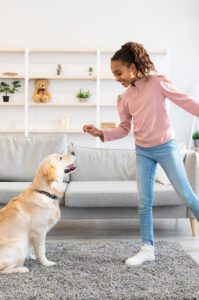 Erziehung-Kind-Hund-Hundetrainer Northern Dogs, Elsdorf-Westermühlen, Rendsburg–Eckernförde