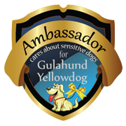Hundetrainer Northern Dogs, Elsdorf-Westermühlen, Rendsburg–Eckernförde