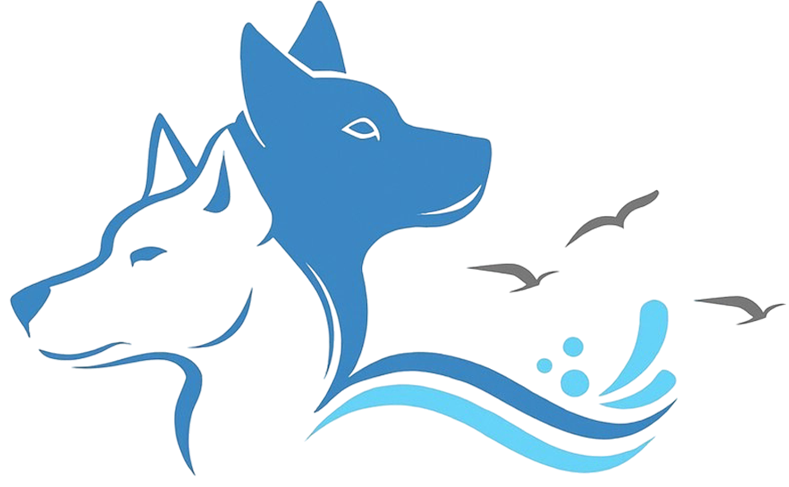 Hundetrainer Northern Dogs, Elsdorf-Westermühlen, Rendsburg–Heide-Eckernförde