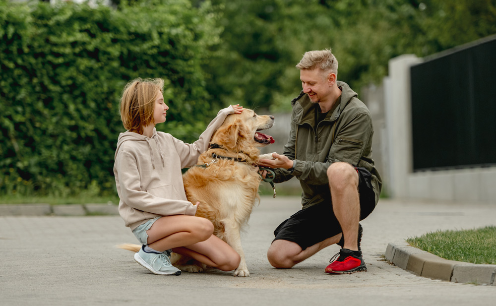 Hundetrainer Northern Dogs, Elsdorf-Westermühlen, Rendsburg–Eckernförde