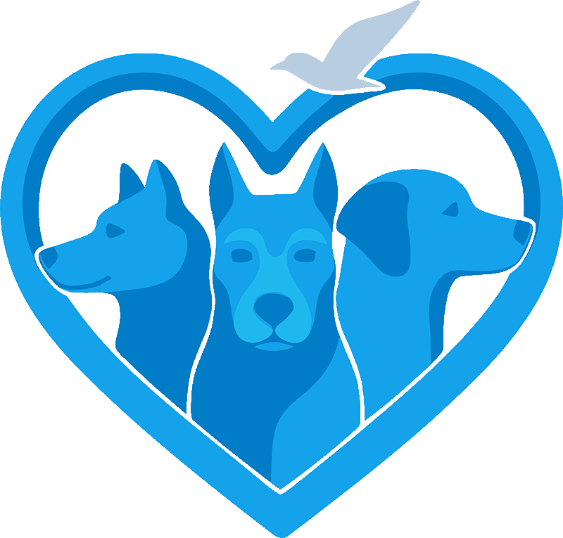 Northern Heart Projekt – Unterstützung für Tierheimhunde Rendsburg