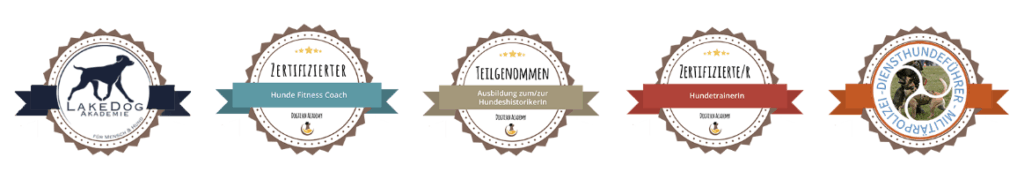 Qualifikationen - Marcus Streubel - Trainer - Northern Dogs - Erziehung und Meer