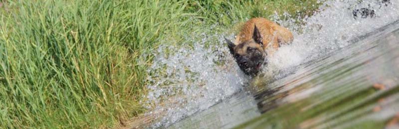 Hier geht es zum gesamtenArtikel.