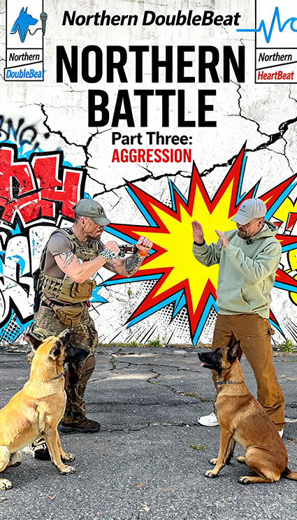 Comic-NorthernBattle-ein-treiner-twei-seelen-nortern-dogs-erziehung-und-meer-mobile-hundeschule-rendsburg