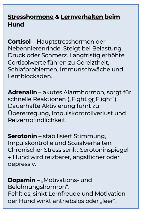 hormonzusammenspiel-abfolge-aversiver-ausbildungsmethoden-blog-beitrag-northern-dogs-erziehung-und-meer