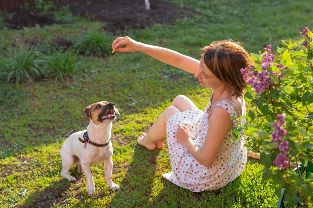 mobile-Hundeschule-Rendsburg-eckernförde-northern-dogs-erziehung-und-meer-frau-hund-garten-training